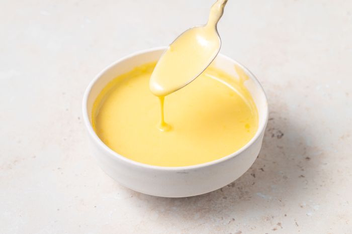 Hollandaise sauce recipe blender